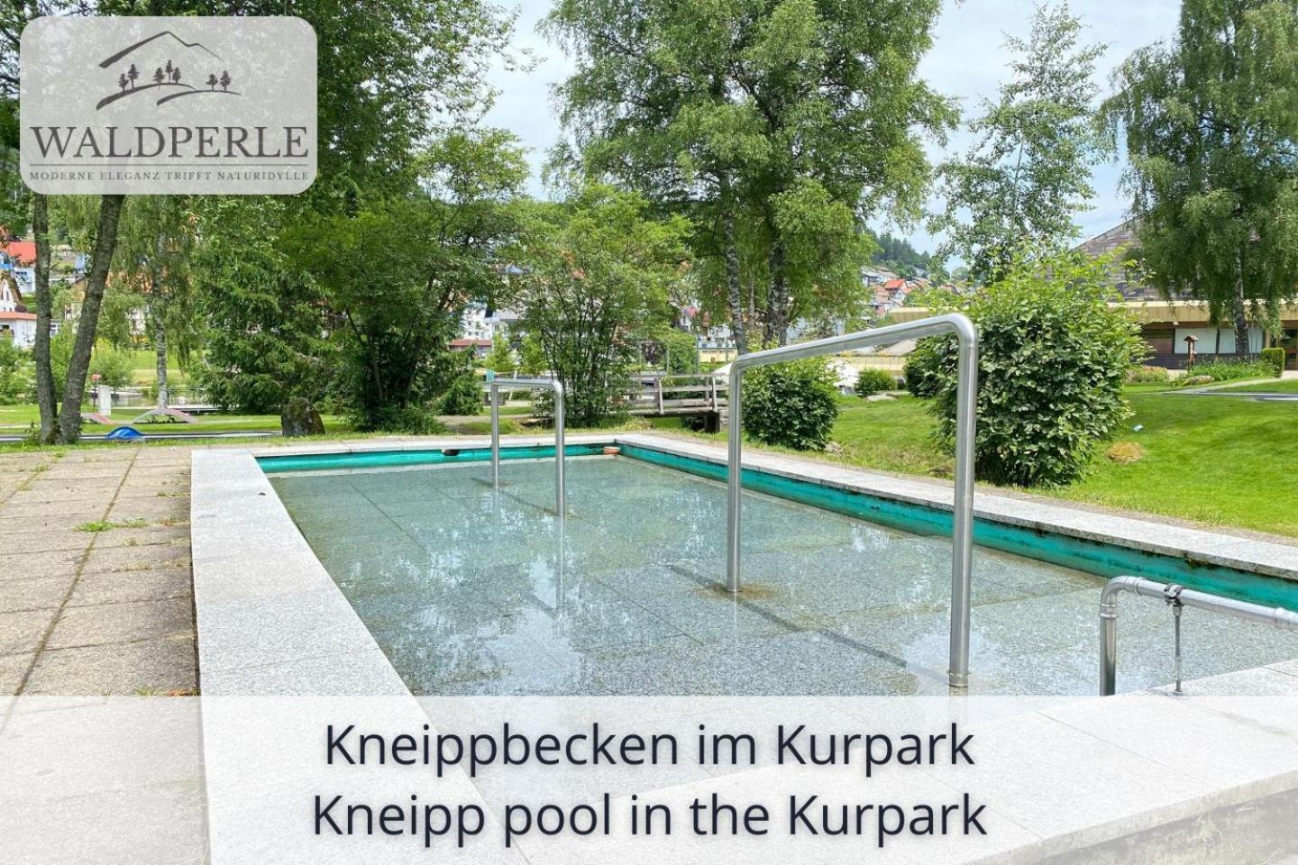 Exklusives 5-Sterne Apartment Waldperle Mit Indoor-Pool, Sauna, Top Lage Und Ausblick In Die Natur, Hunde Willkommen Schonach im Schwarzwald Exterior foto