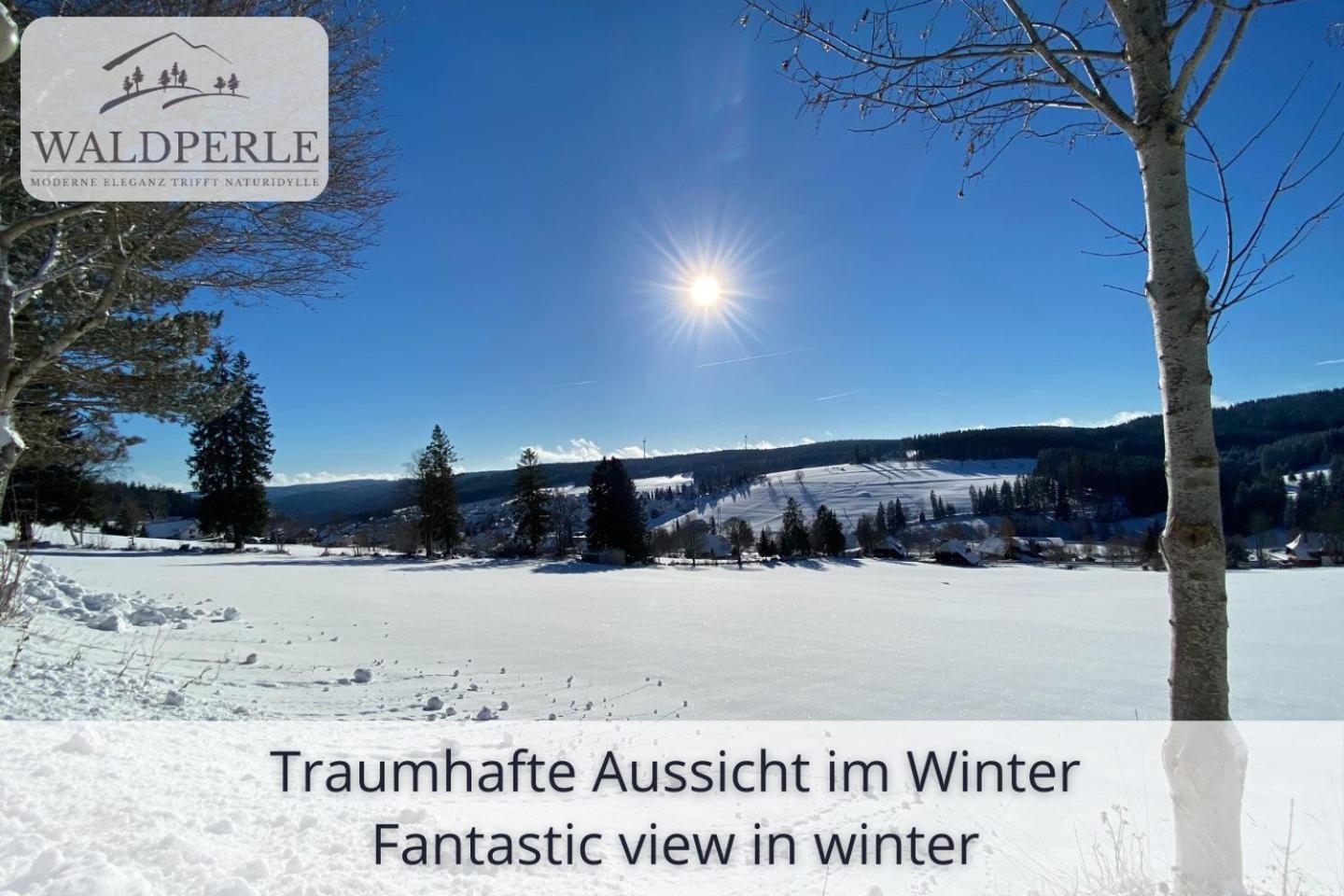 Exklusives 5-Sterne Apartment Waldperle Mit Indoor-Pool, Sauna, Top Lage Und Ausblick In Die Natur, Hunde Willkommen Schonach im Schwarzwald Exterior foto