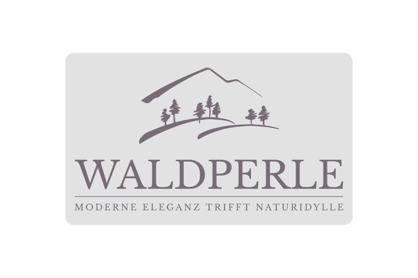 Exklusives 5-Sterne Apartment Waldperle Mit Indoor-Pool, Sauna, Top Lage Und Ausblick In Die Natur, Hunde Willkommen Schonach im Schwarzwald Exterior foto