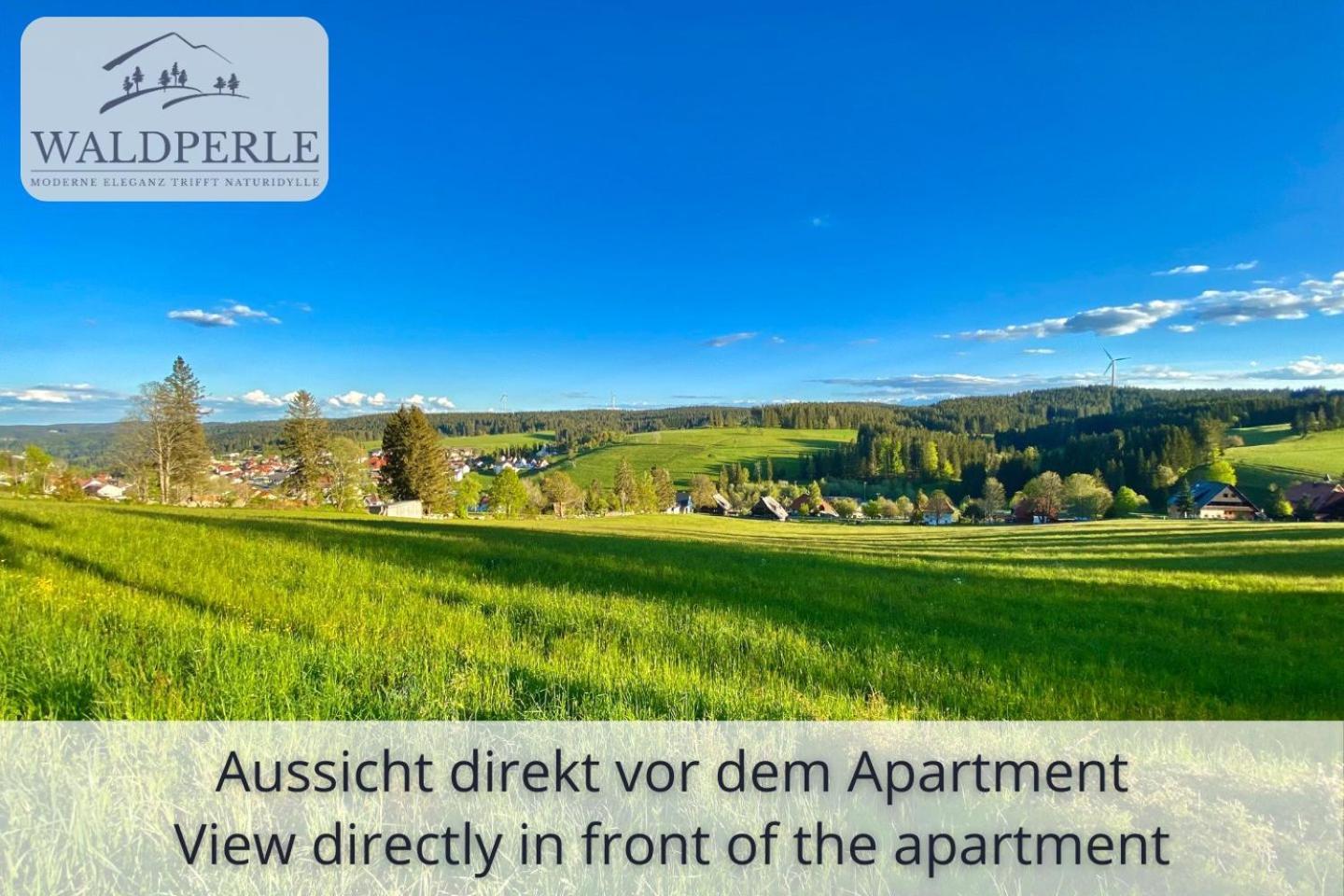 Exklusives 5-Sterne Apartment Waldperle Mit Indoor-Pool, Sauna, Top Lage Und Ausblick In Die Natur, Hunde Willkommen Schonach im Schwarzwald Exterior foto
