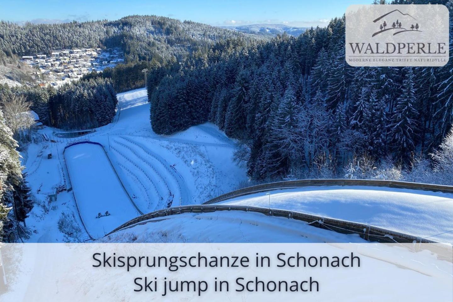 Exklusives 5-Sterne Apartment Waldperle Mit Indoor-Pool, Sauna, Top Lage Und Ausblick In Die Natur, Hunde Willkommen Schonach im Schwarzwald Exterior foto